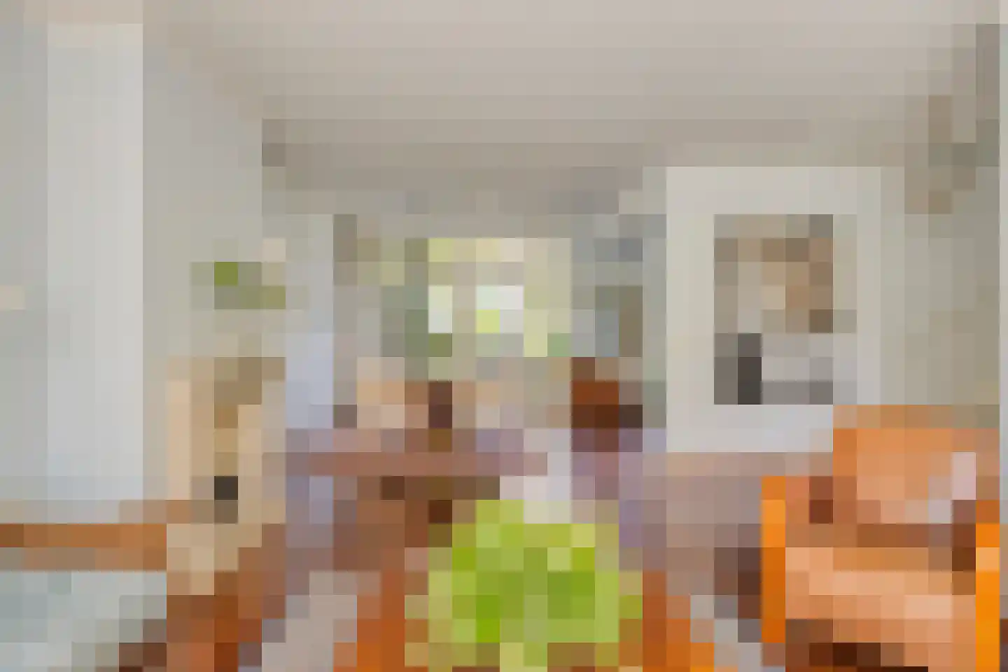 Anna Blamanstraat 32 Rosmalen thumbnail 7
