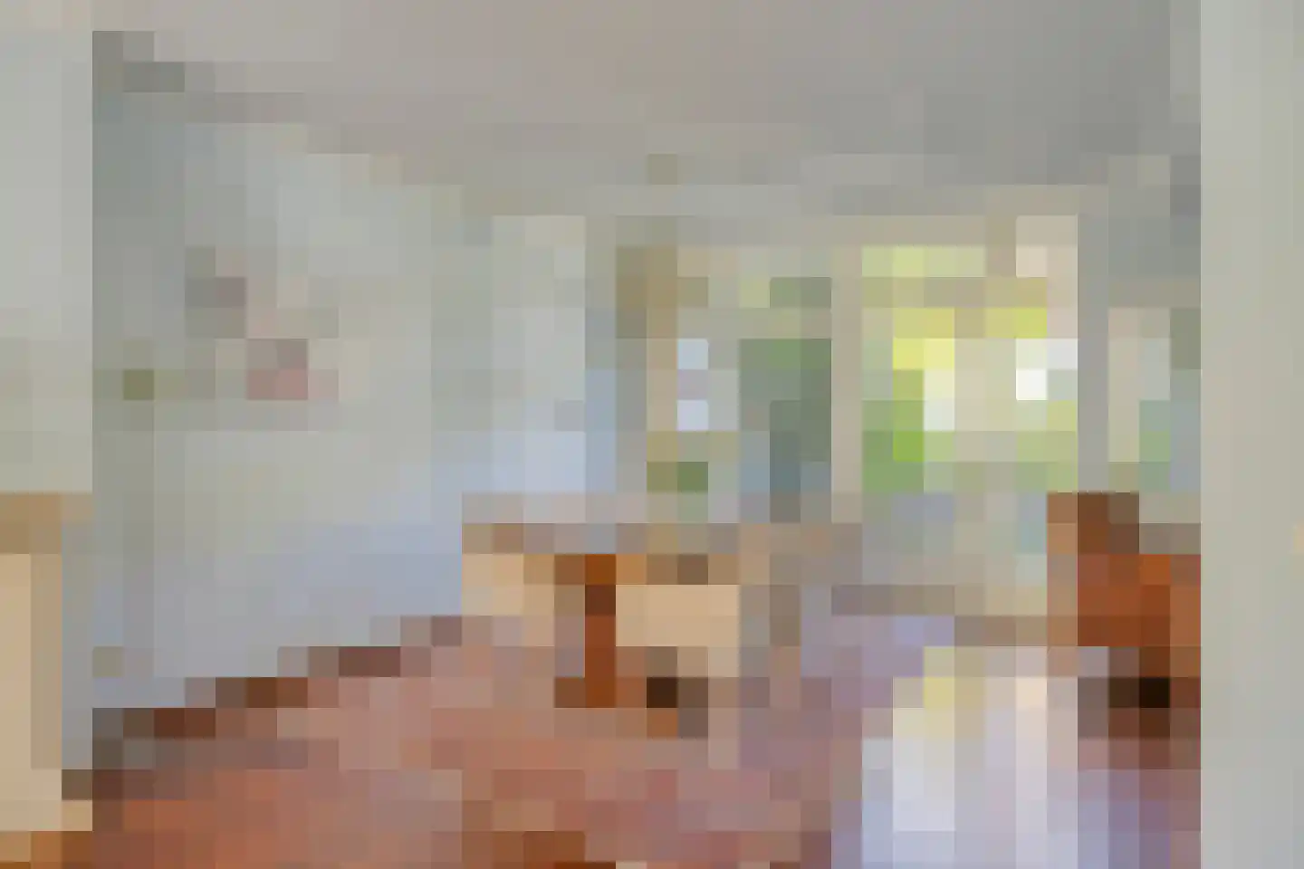 Anna Blamanstraat 32 Rosmalen thumbnail 8