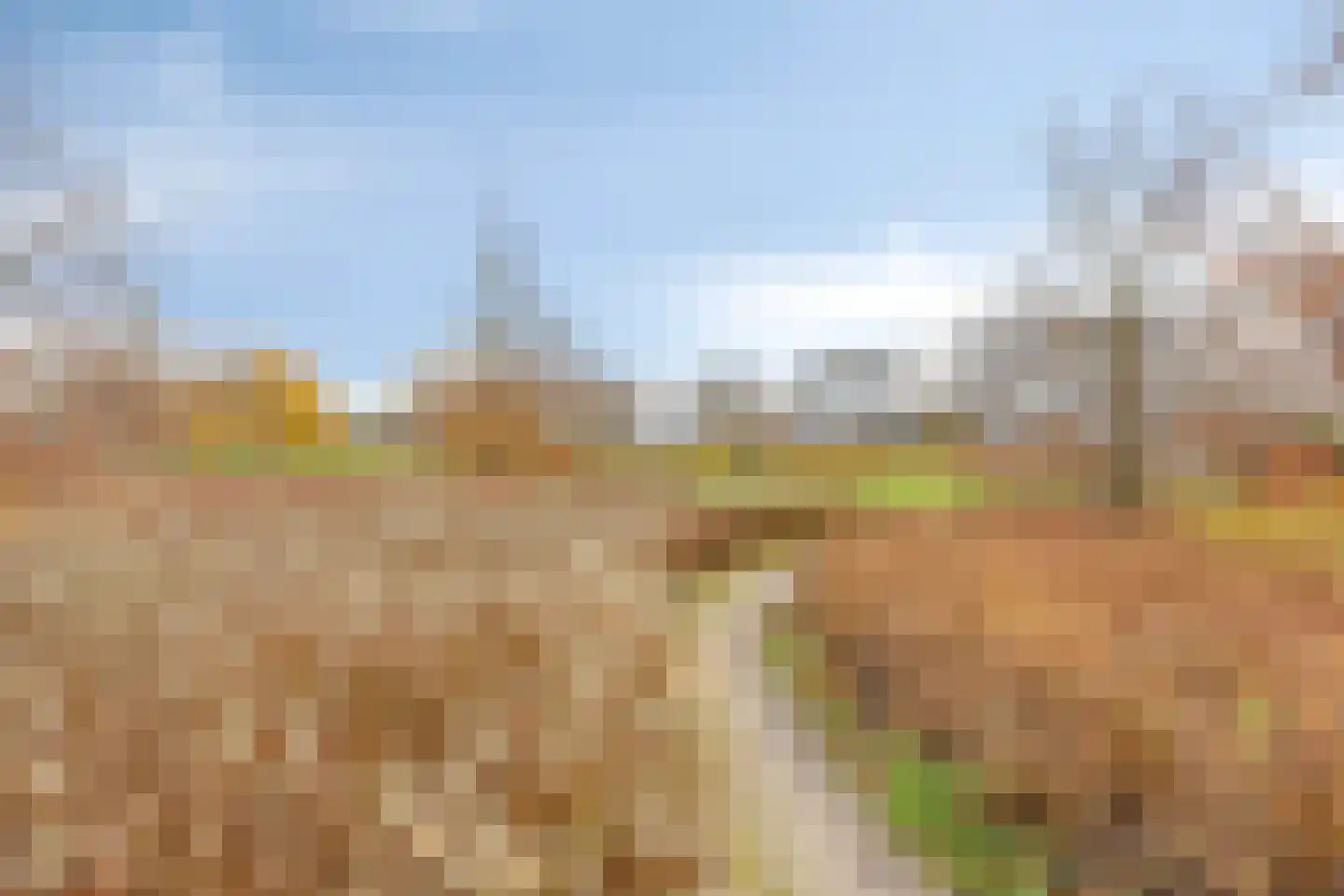 Anna Blamanstraat 39 Rijen thumbnail 27