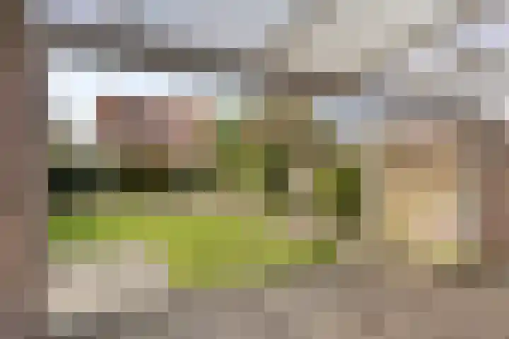 Anna Blamanstraat 5 Waalwijk thumbnail 22