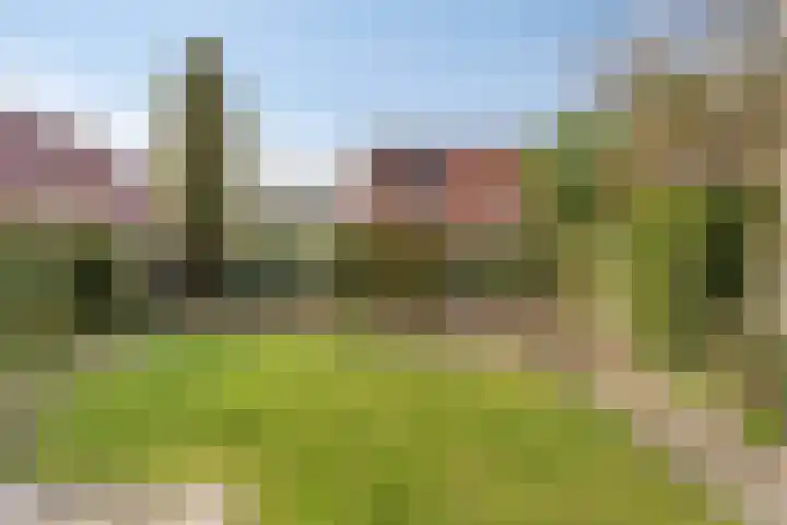 Anna Blamanstraat 5 Waalwijk thumbnail 23