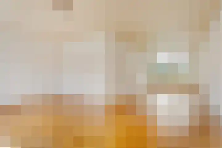 Anna Blamanstraat 5 Waalwijk thumbnail 6