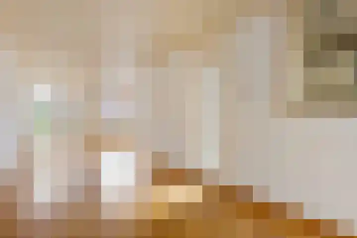 Anna Blamanstraat 5 Waalwijk thumbnail 8