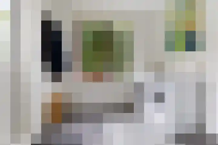 Anna Blamanstraat 60 Groningen thumbnail 10