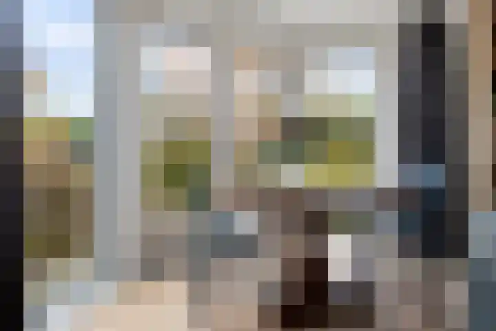 Anna Blamanstraat 60 Groningen thumbnail 20
