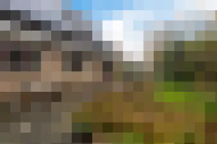 Anna Blamanstraat 60 Groningen thumbnail 36