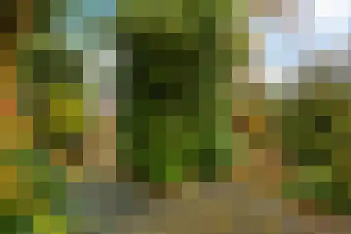 Anna Blamanstraat 60 Groningen thumbnail 41