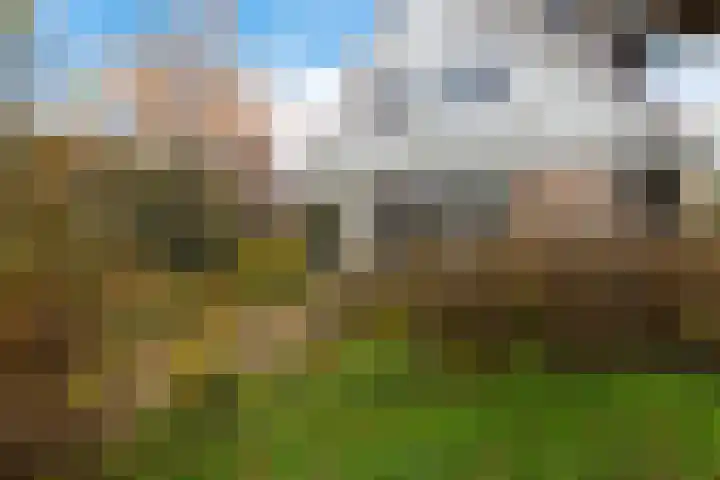 Anna Blamanstraat 60 Groningen thumbnail 43