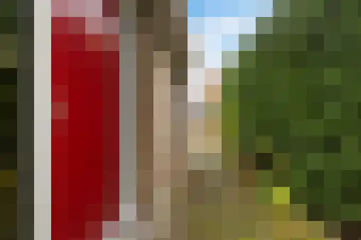 Anna Blamanstraat 60 Groningen thumbnail 6