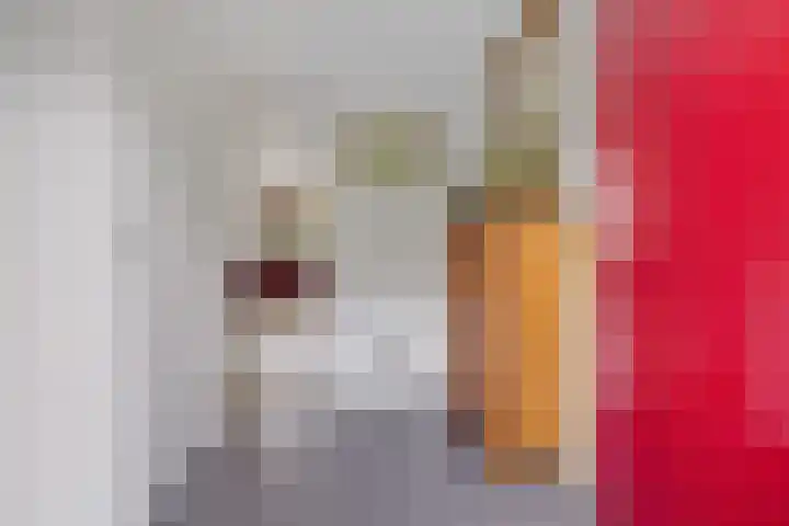 Anna Blamanstraat 60 Groningen thumbnail 7