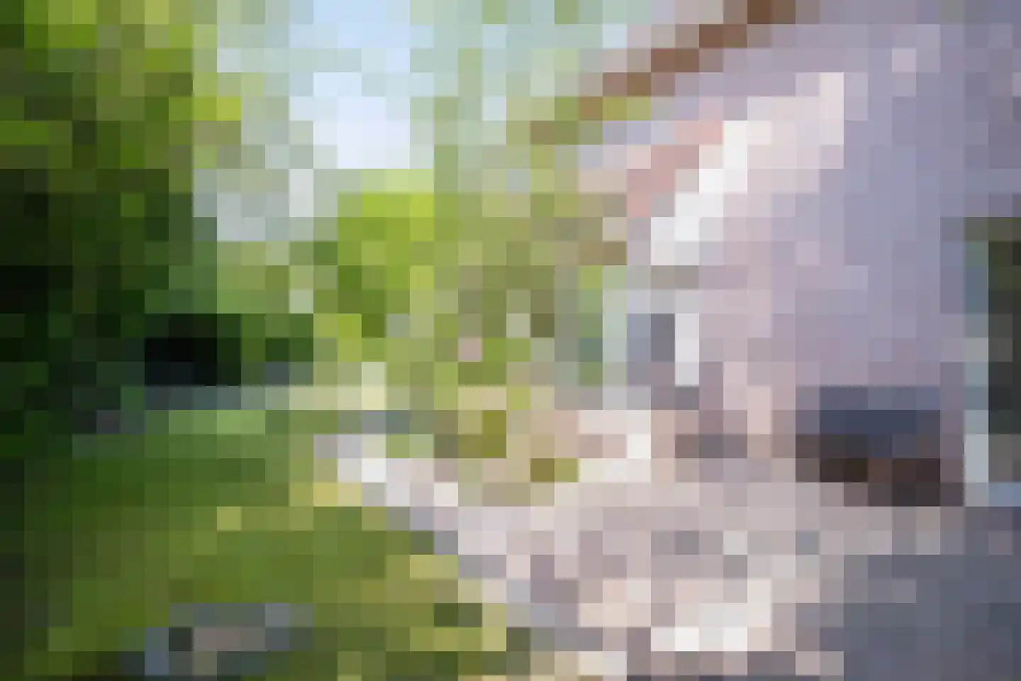 Anna Blamanstraat 62 Groningen thumbnail 32