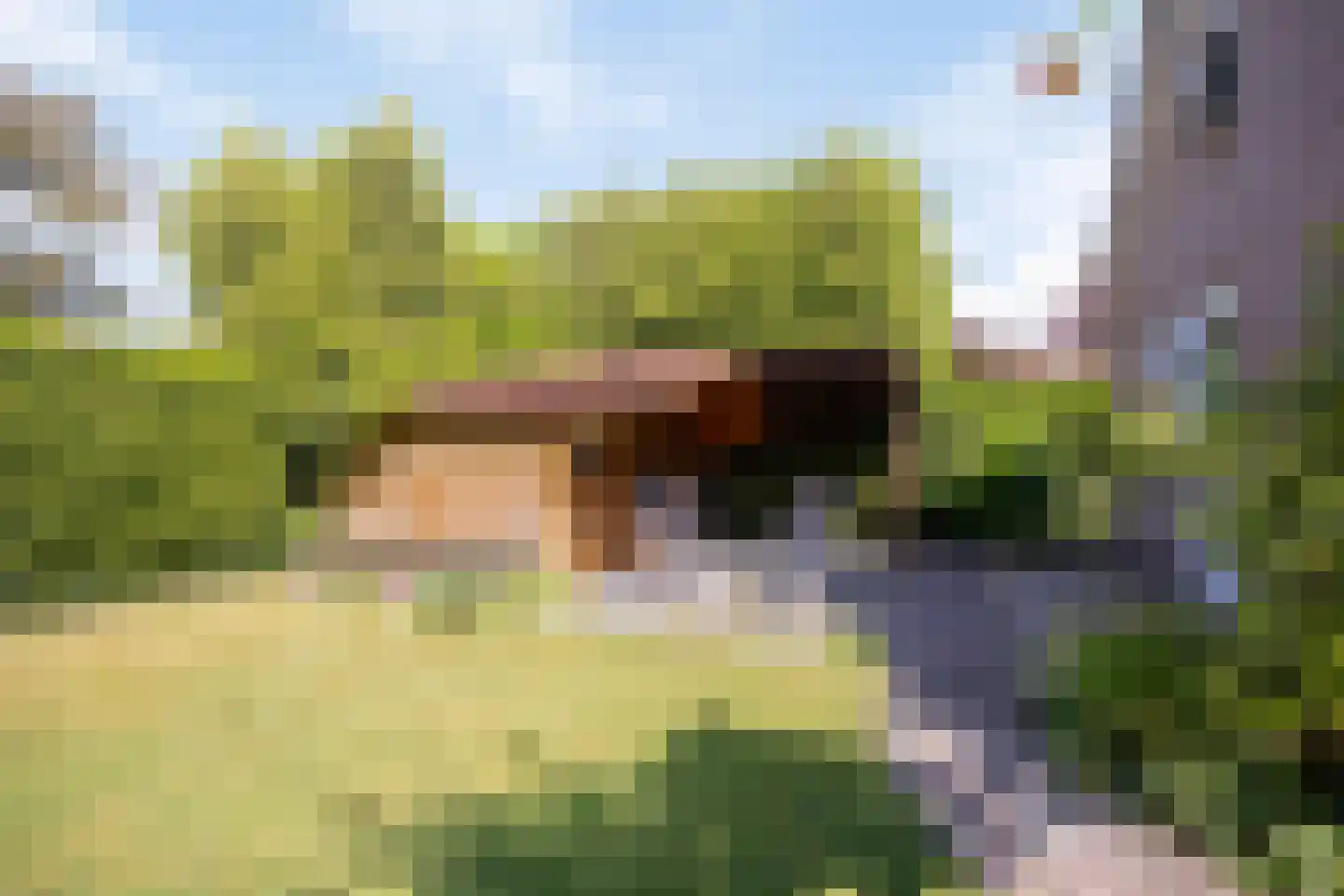 Anna Blamanstraat 62 Groningen thumbnail 34