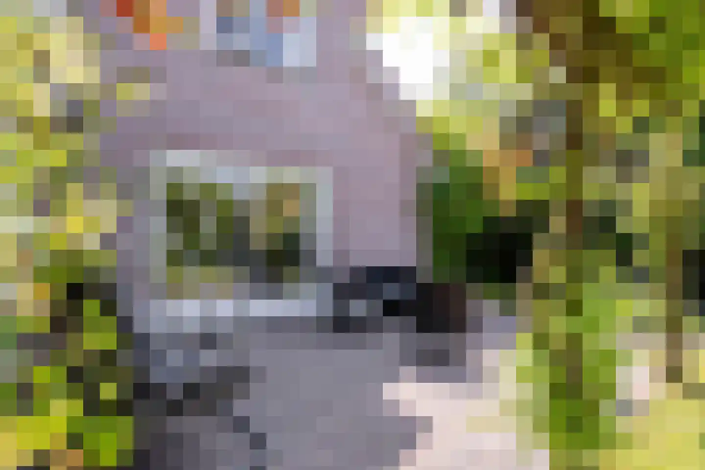 Anna Blamanstraat 62 Groningen thumbnail 35