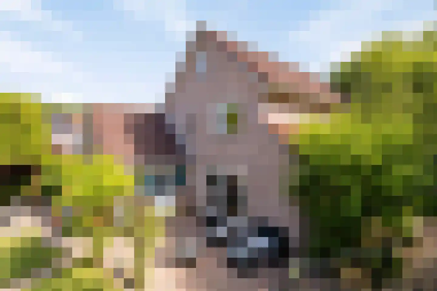 Anna Blamanstraat 62 Groningen thumbnail 38