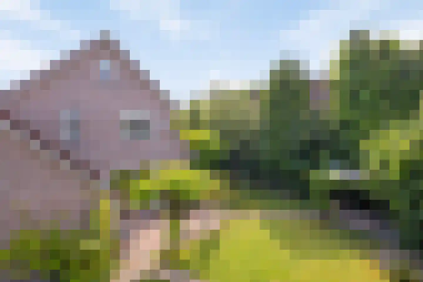 Anna Blamanstraat 62 Groningen thumbnail 39