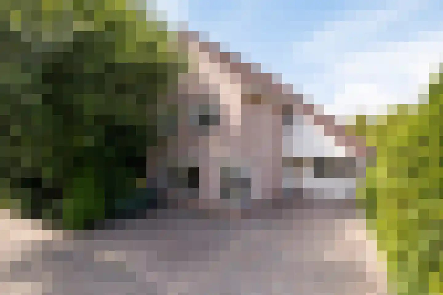 Anna Blamanstraat 62 Groningen thumbnail 4