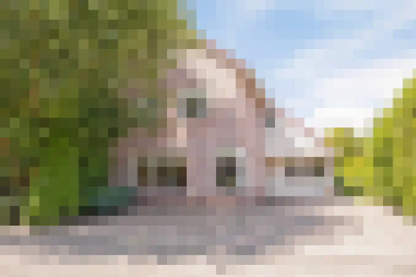 Anna Blamanstraat 62 Groningen thumbnail 42