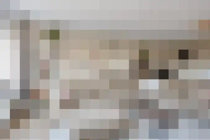 Anna Blamanstraat 7 Groningen thumbnail 14