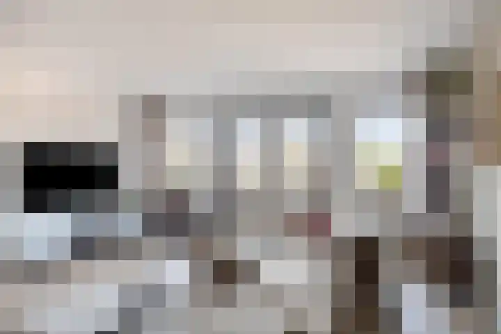 Anna Blamanstraat 7 Groningen thumbnail 15