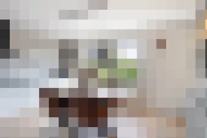 Anna Blamanstraat 7 Groningen thumbnail 29