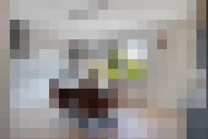 Anna Blamanstraat 7 Groningen thumbnail 35