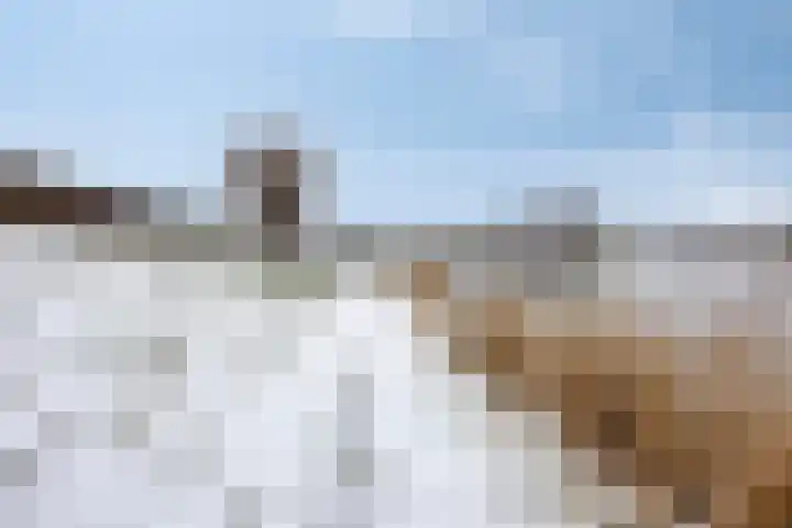 Anna Blamanstraat 7 Groningen thumbnail 62