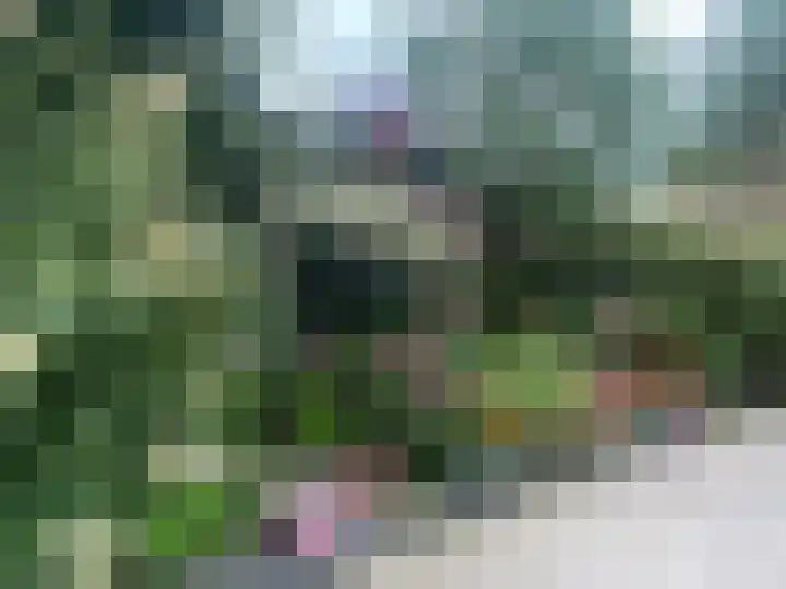 Anna Blamanstraat 7 Groningen thumbnail 69