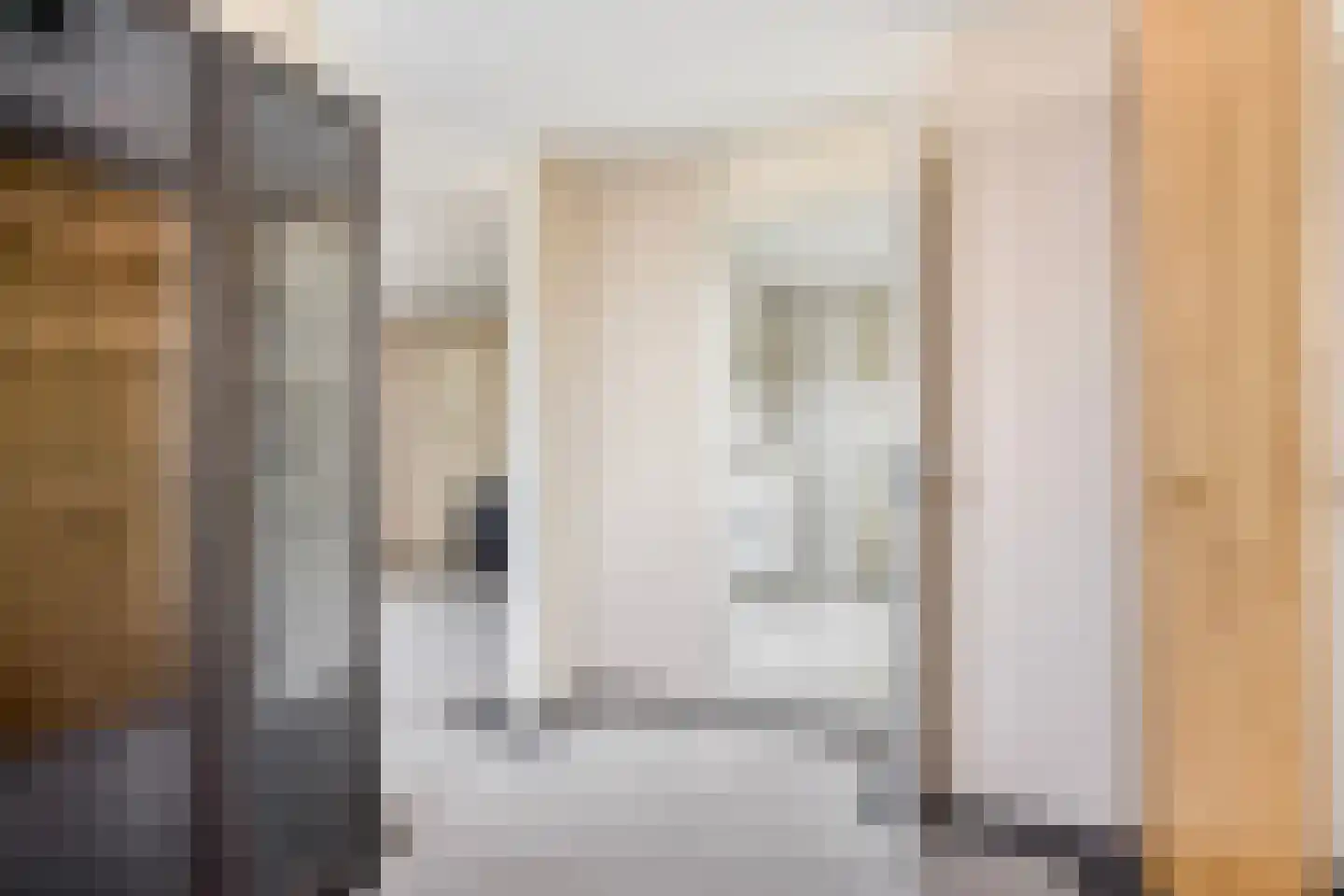 Anna Blamanstraat 8 Venray thumbnail 32