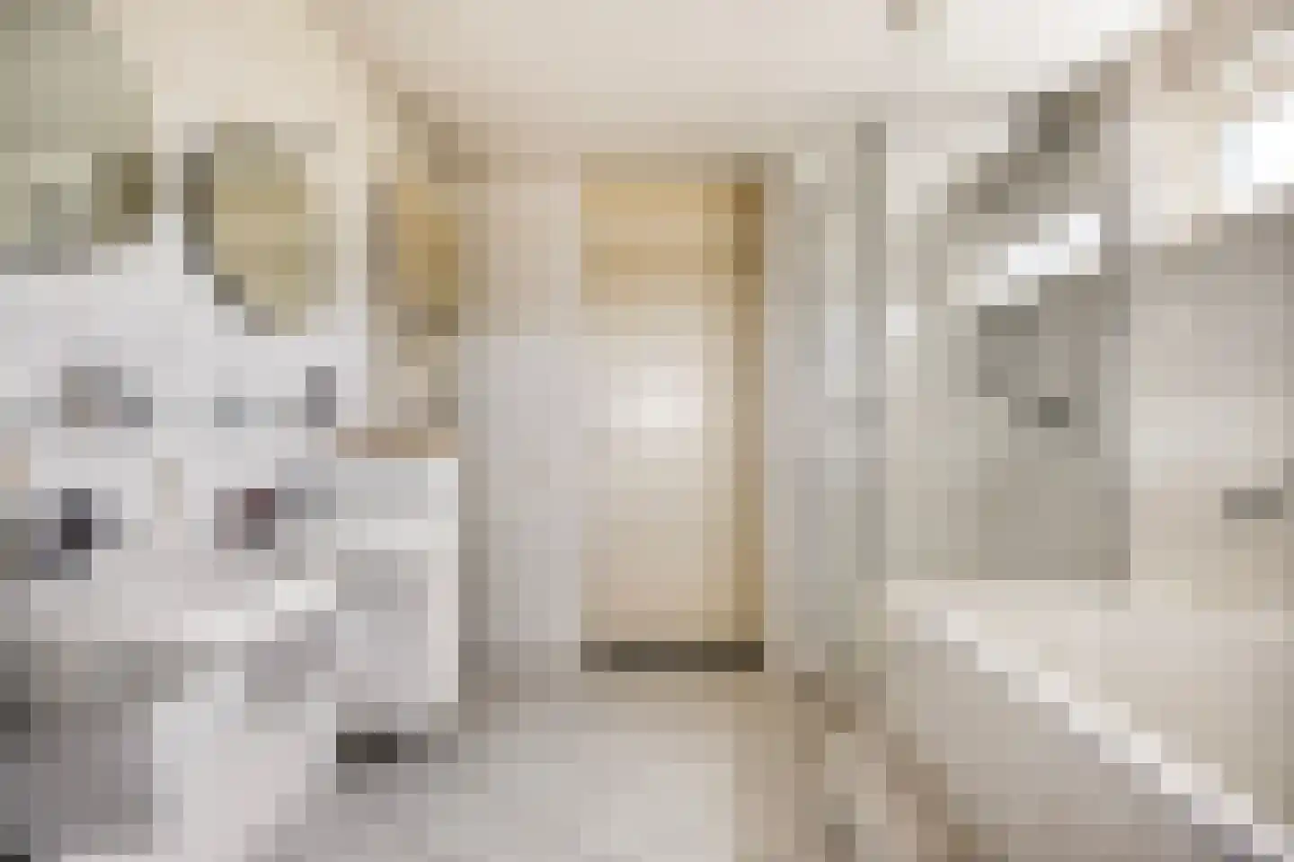 Anna Blamanstraat 8 Venray thumbnail 33