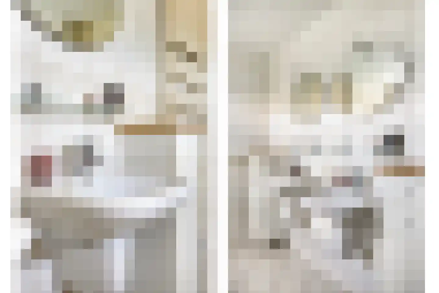 Anna Blamanstraat 8 Venray thumbnail 35