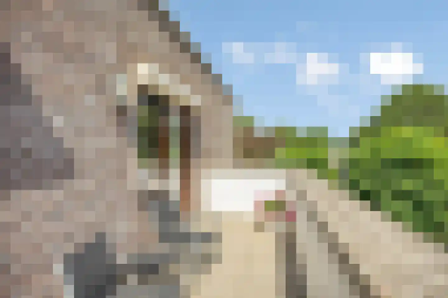 Anna Blamanstraat 8 Venray thumbnail 44