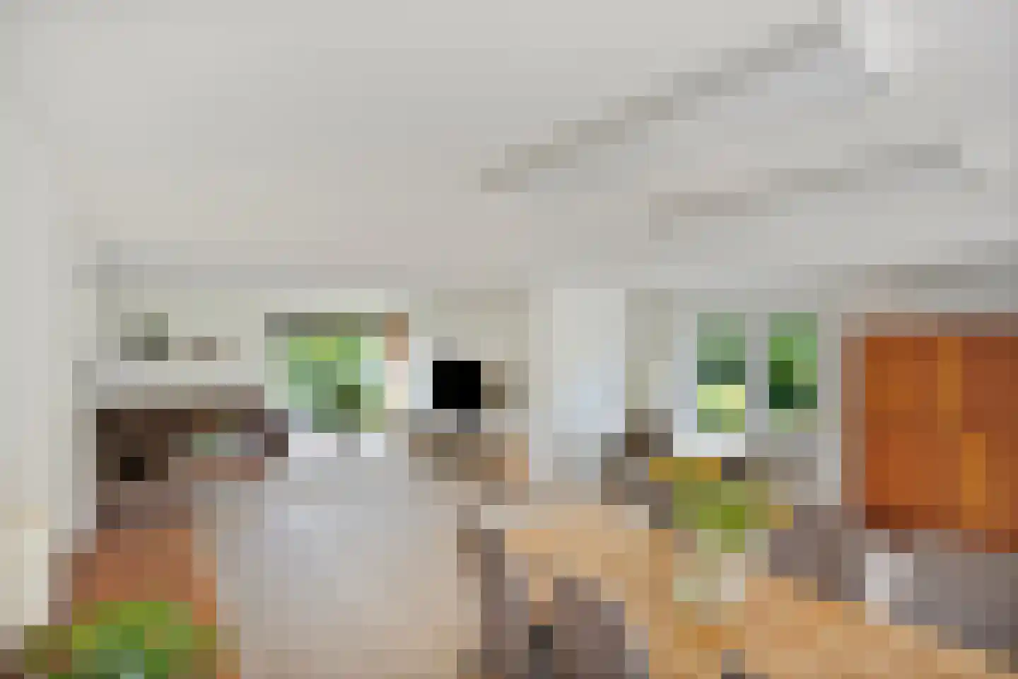 Anna Blamanstraat 8 Venray thumbnail 9
