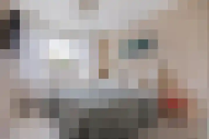 Anna Blamanstraat 82 Hoofddorp thumbnail 16