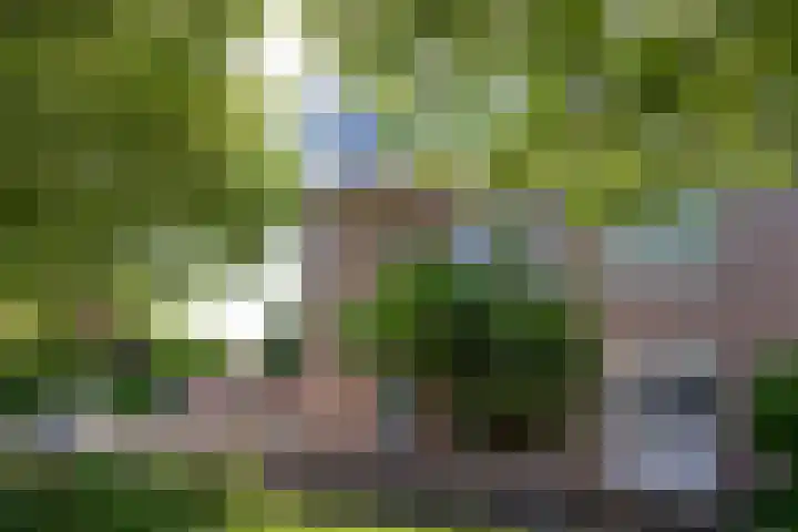 Anna Blamanstraat 82 Hoofddorp thumbnail 22