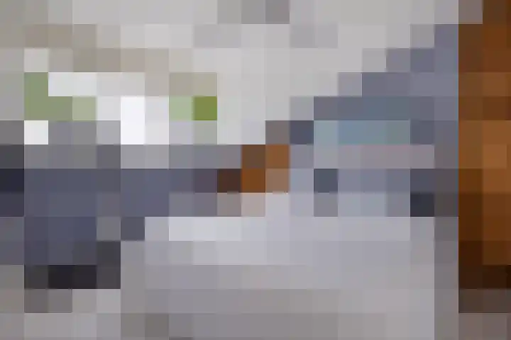 Anna Blamanstraat 82 Hoofddorp thumbnail 25