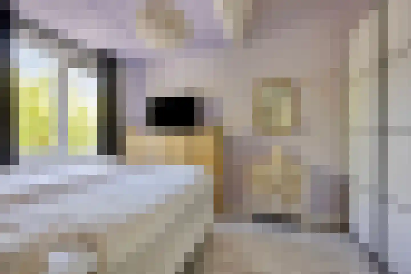 Anna Blamanstraat 88 Hoofddorp thumbnail 18
