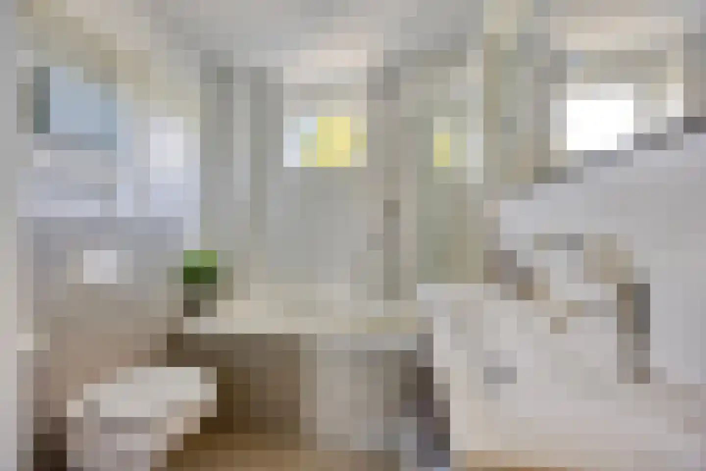 Anna Blamanstraat 88 Hoofddorp thumbnail 19