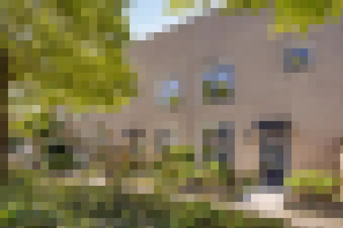 Anna Blamanstraat 88 Hoofddorp thumbnail 5