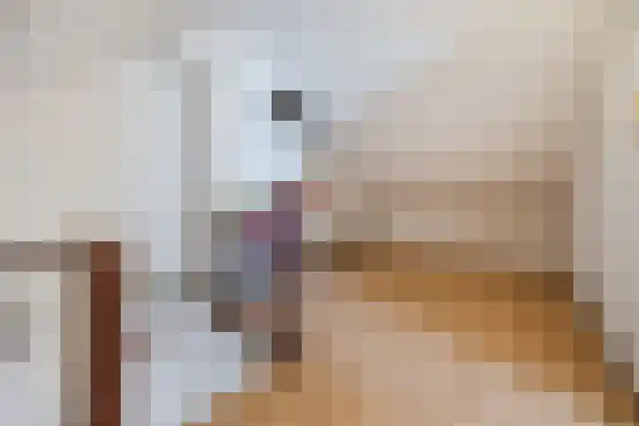 Anna Blamanweg 22 Tilburg thumbnail 26