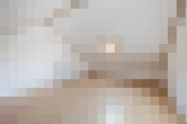 Anna Blamanweg 22 Tilburg thumbnail 29