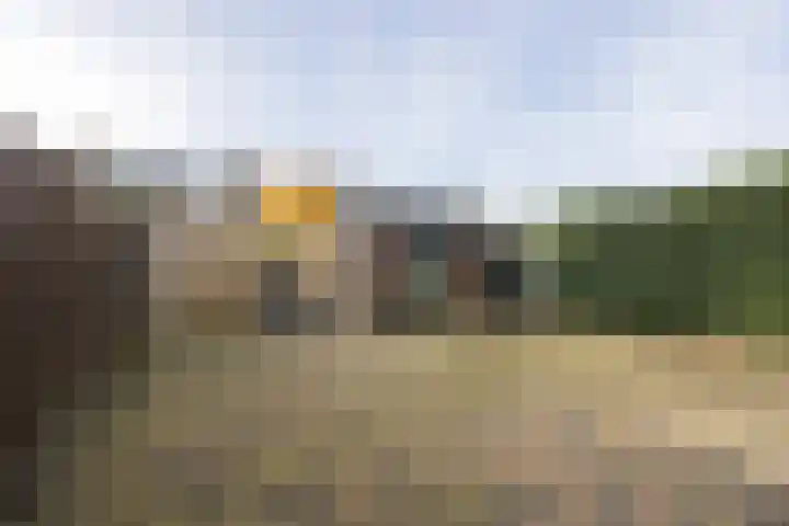 Anna Blamanweg 22 Tilburg thumbnail 31