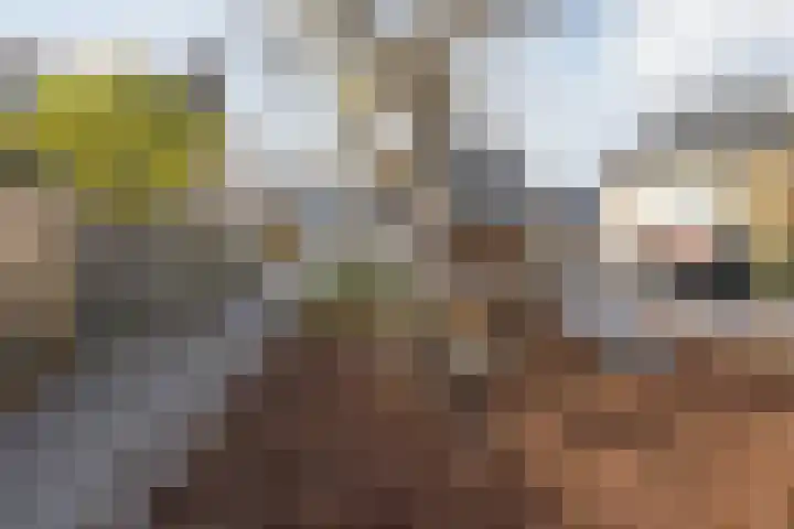 Anna Blamanweg 22 Tilburg thumbnail 37