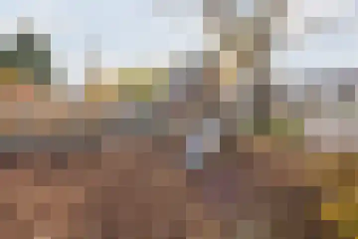 Anna Blamanweg 22 Tilburg thumbnail 39