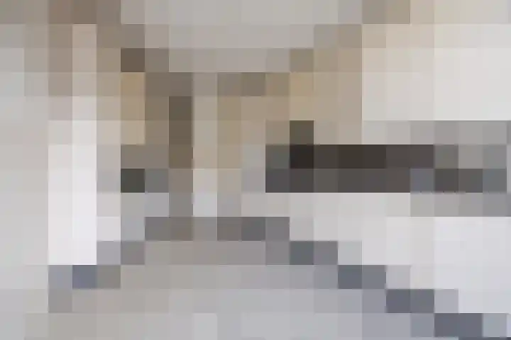 Anna Blamanweg 22 Tilburg thumbnail 6