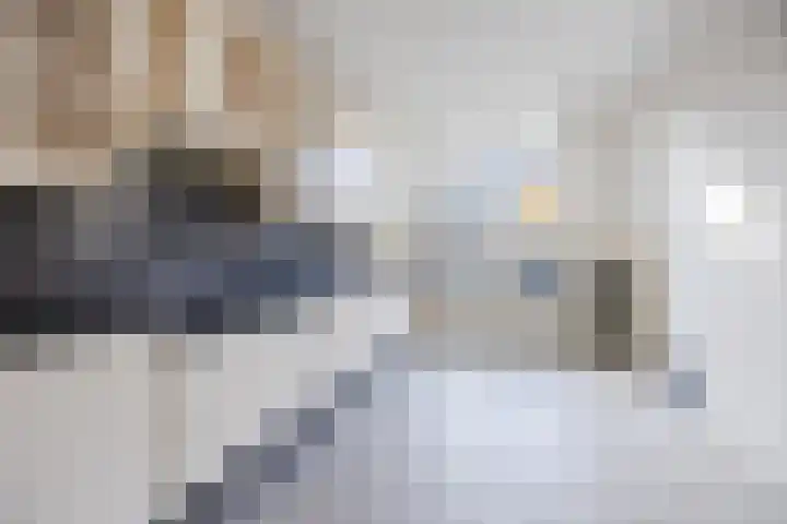 Anna Blamanweg 22 Tilburg thumbnail 8