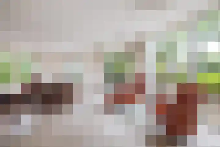 Anna Charlottelaan 31 Oranjewoud thumbnail 18