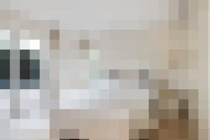 Anna Charlottelaan 31 Oranjewoud thumbnail 27