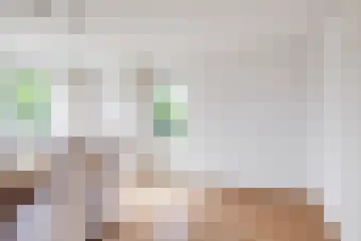 Anna Charlottelaan 31 Oranjewoud thumbnail 42