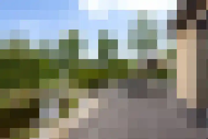 Anna Charlottelaan 31 Oranjewoud thumbnail 59