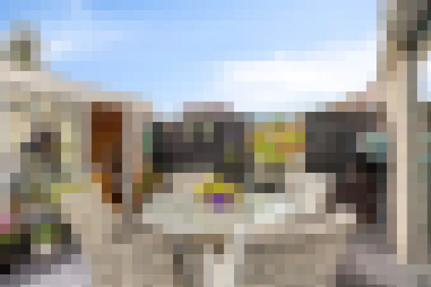 Anna Clasina op 't Landtplantsoen 106 Heerhugowaard thumbnail 41